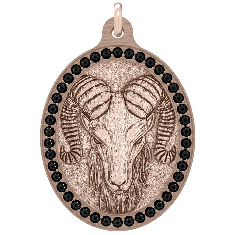 The Aries