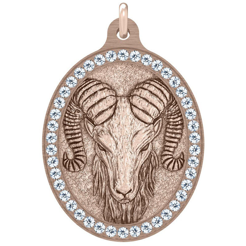 The Aries