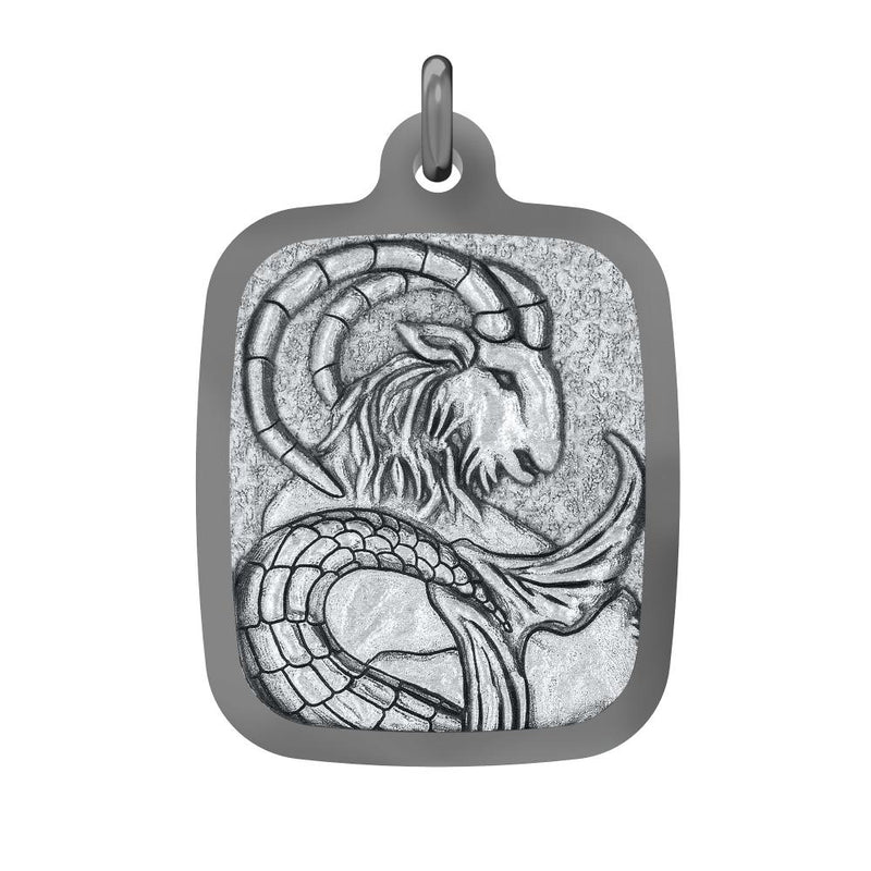The Capricorn