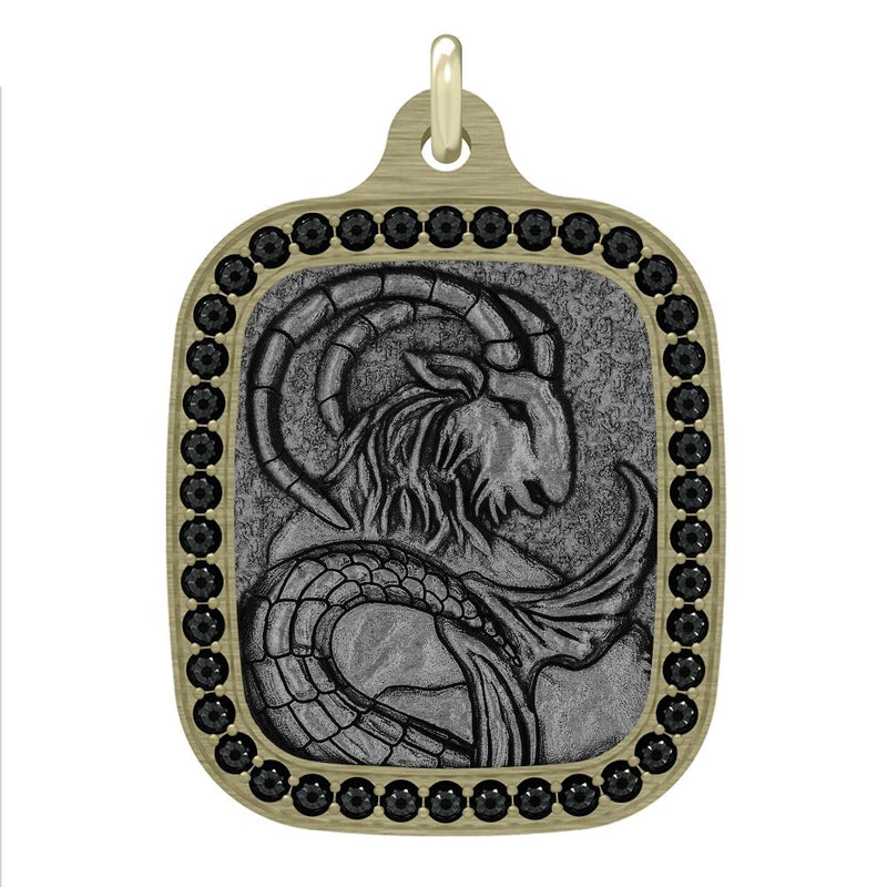 The Capricorn