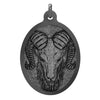 The Aries