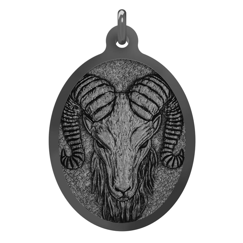 The Aries