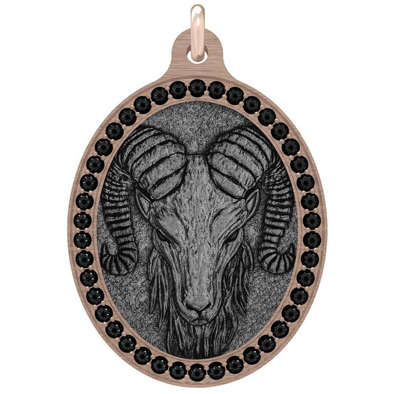 The Aries