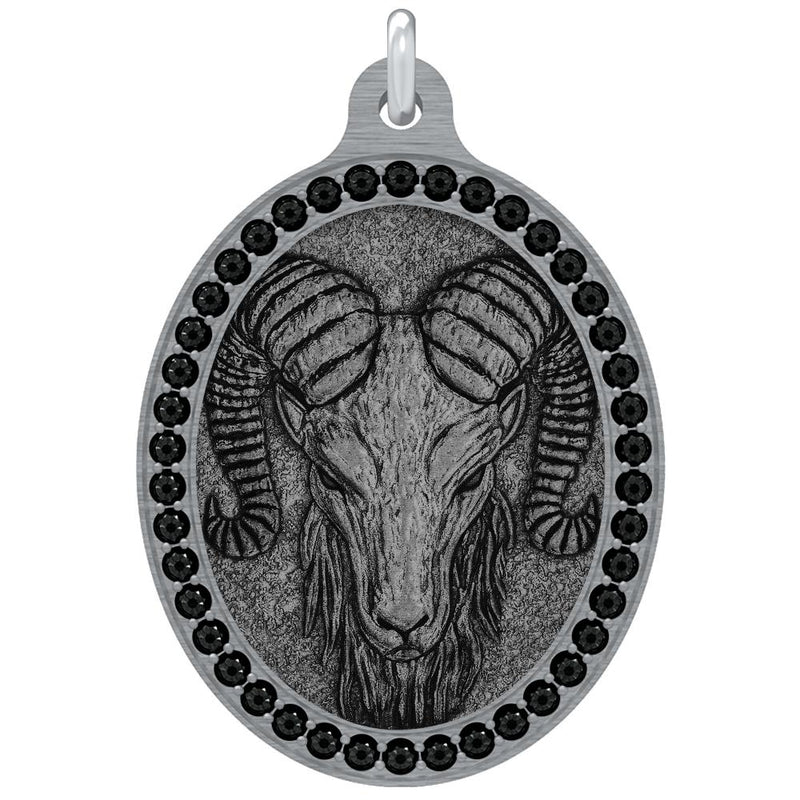 The Aries