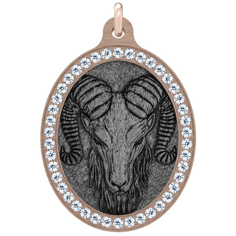 The Aries